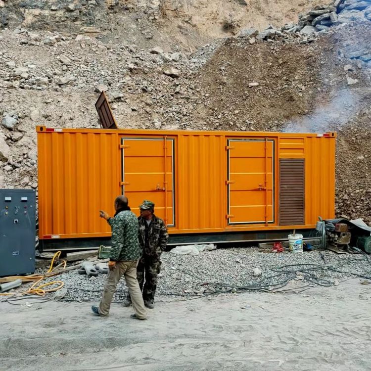 普陀如何选择适合自己的 800KW 柴油发电机组？